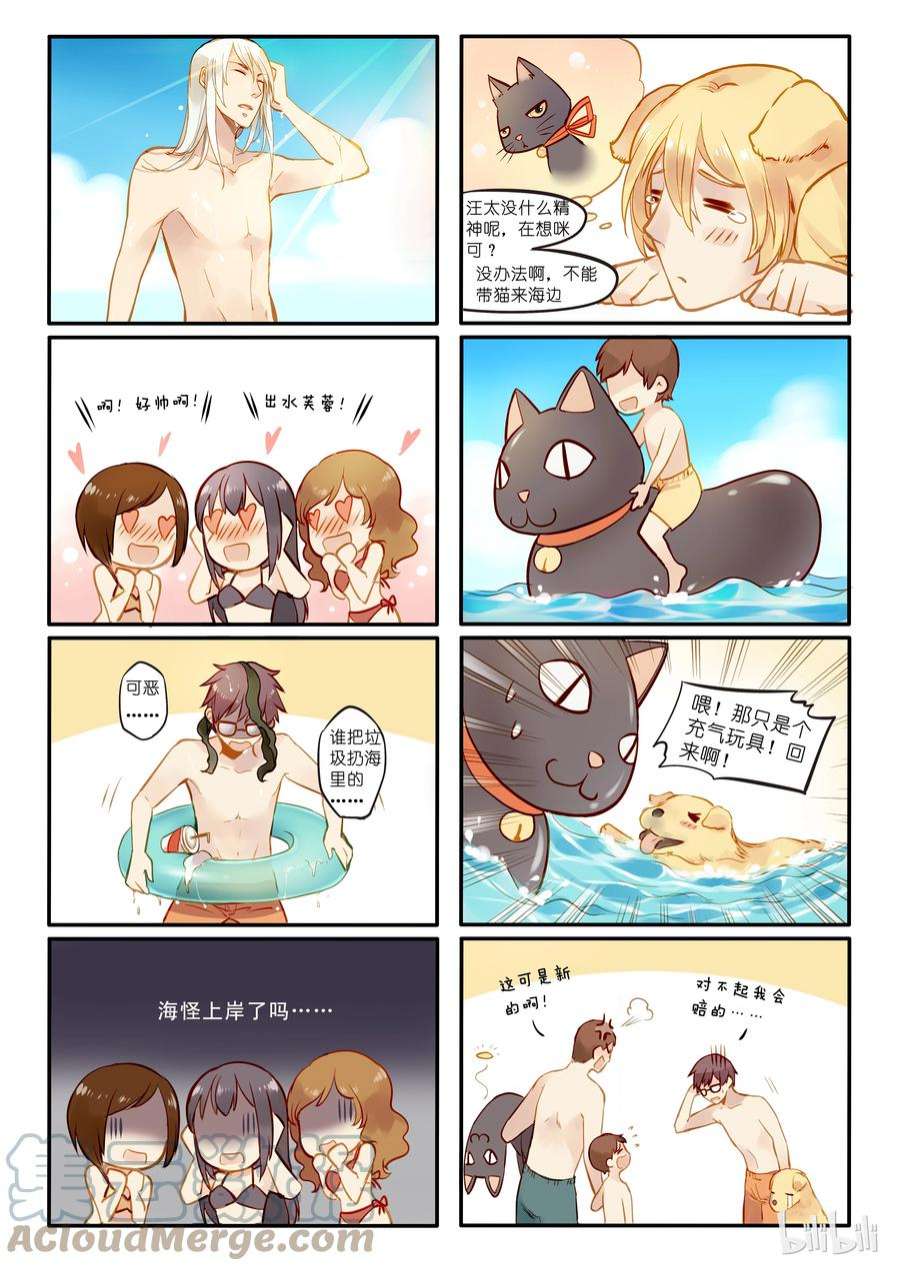 5.jpg