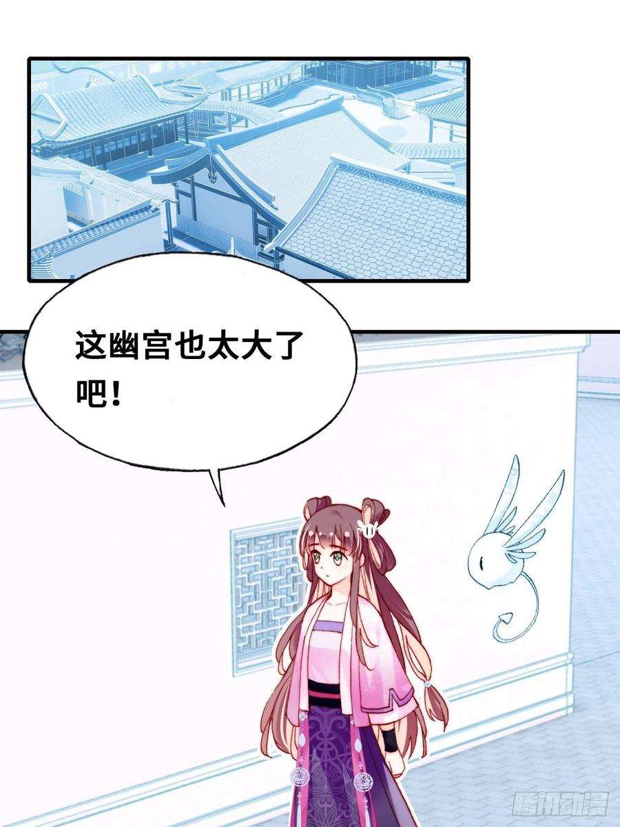 35.jpg
