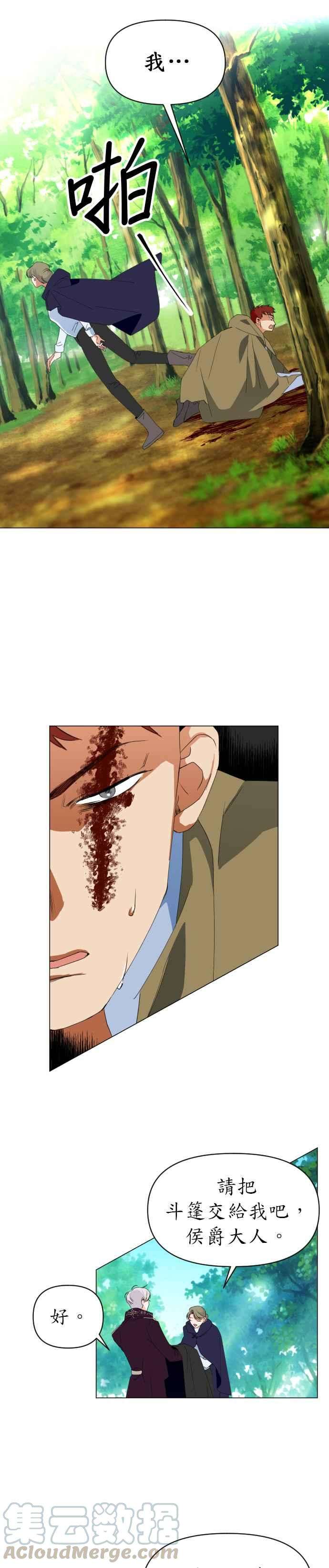 15.jpg