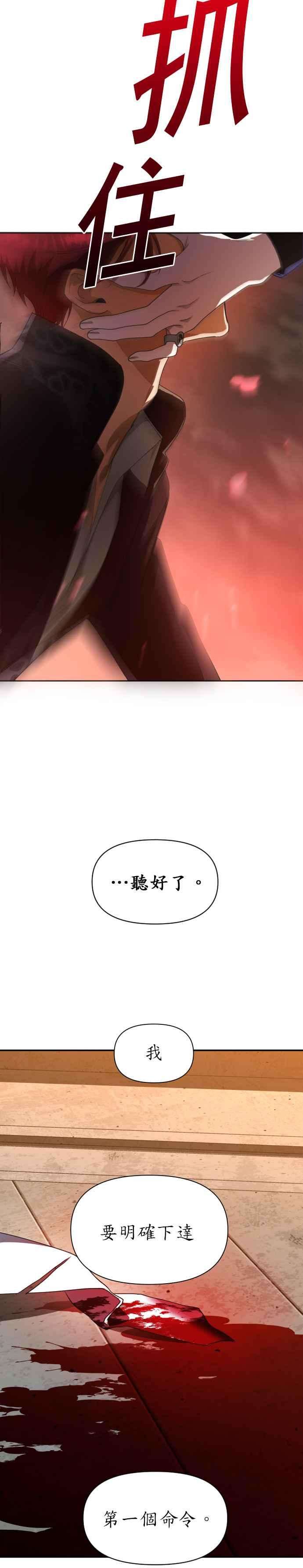 48.jpg