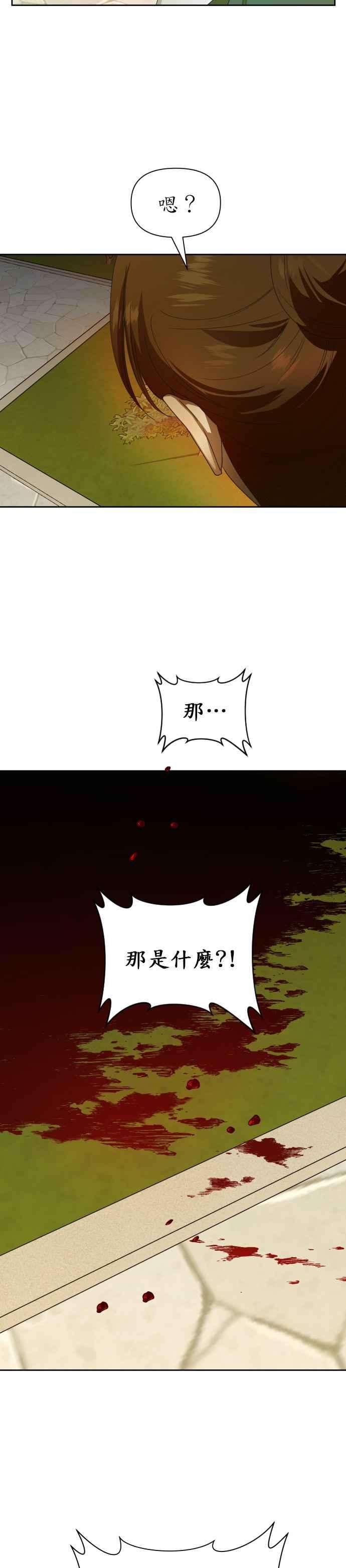 48.jpg