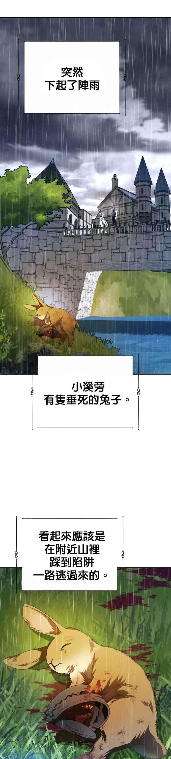 41.jpg