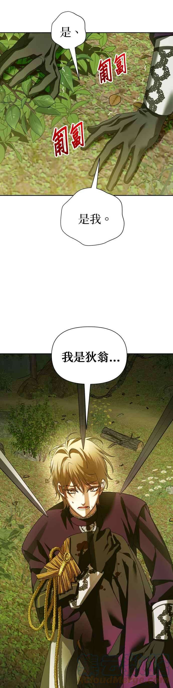 31.jpg