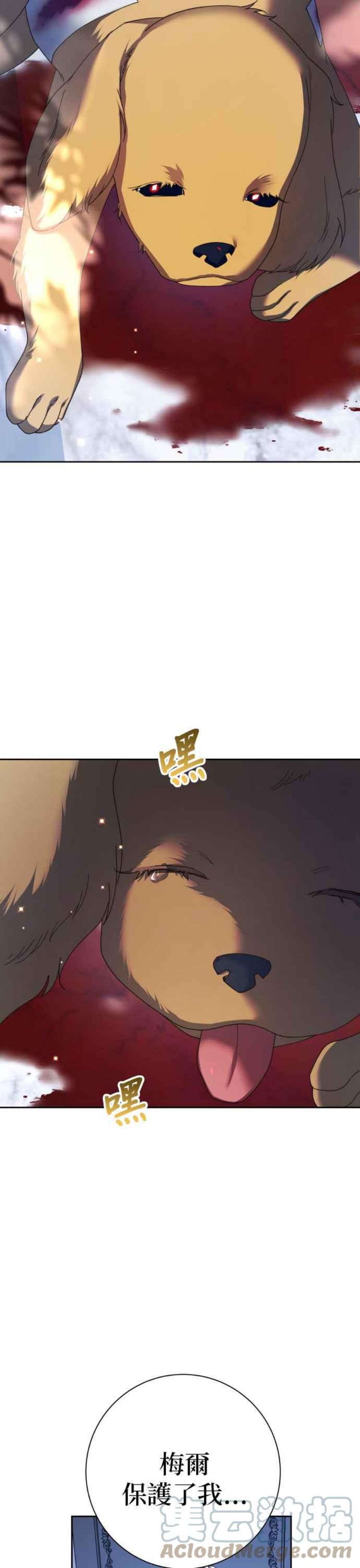 55.jpg