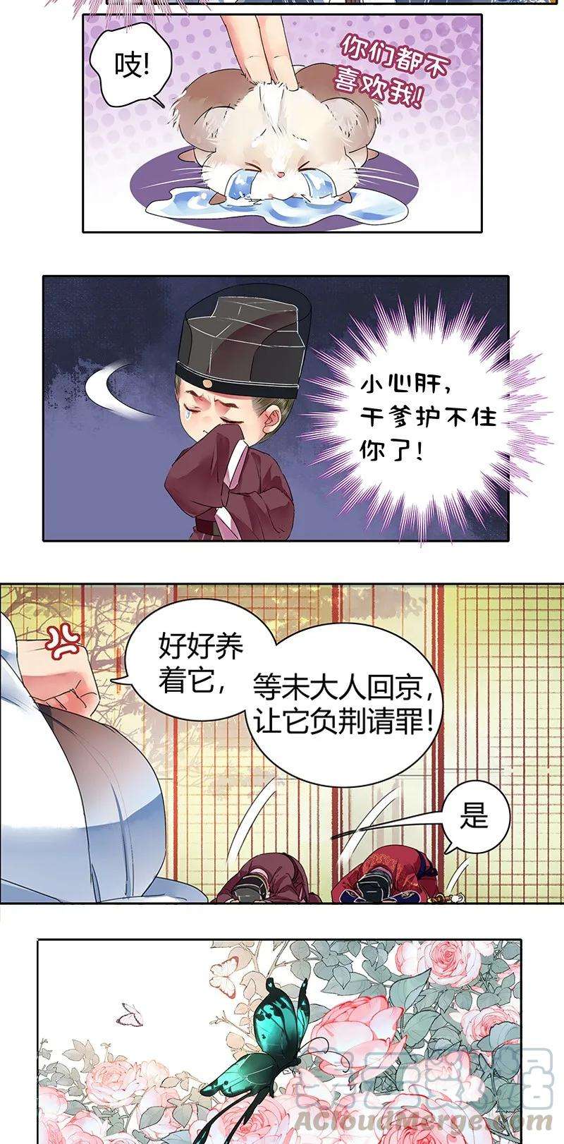 7.jpg