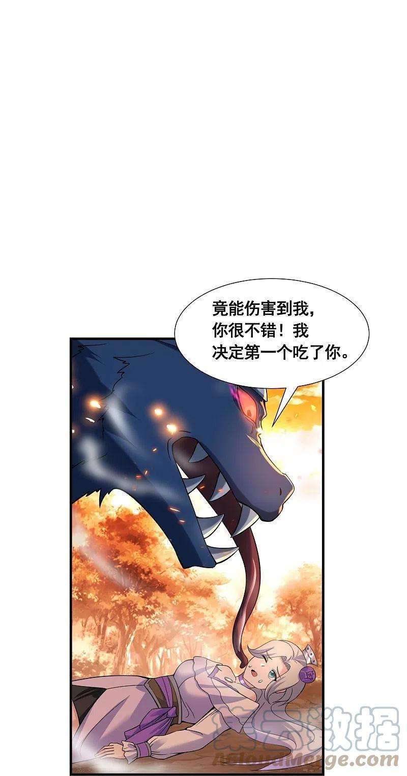 19.jpg