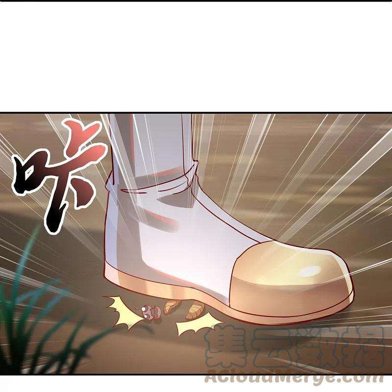 17.jpg