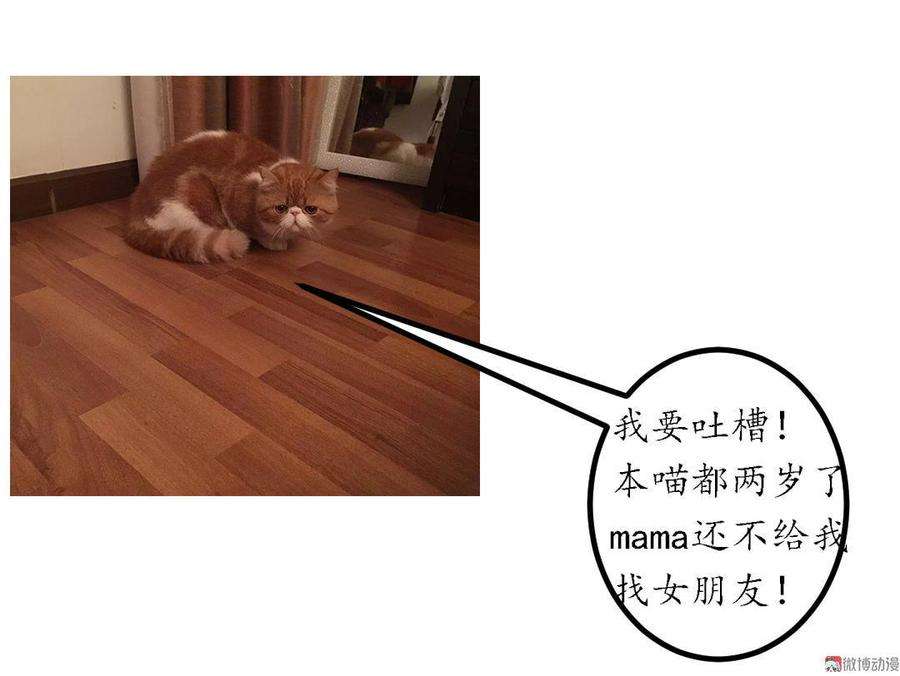 42.jpg