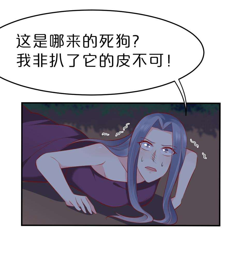 24.jpg