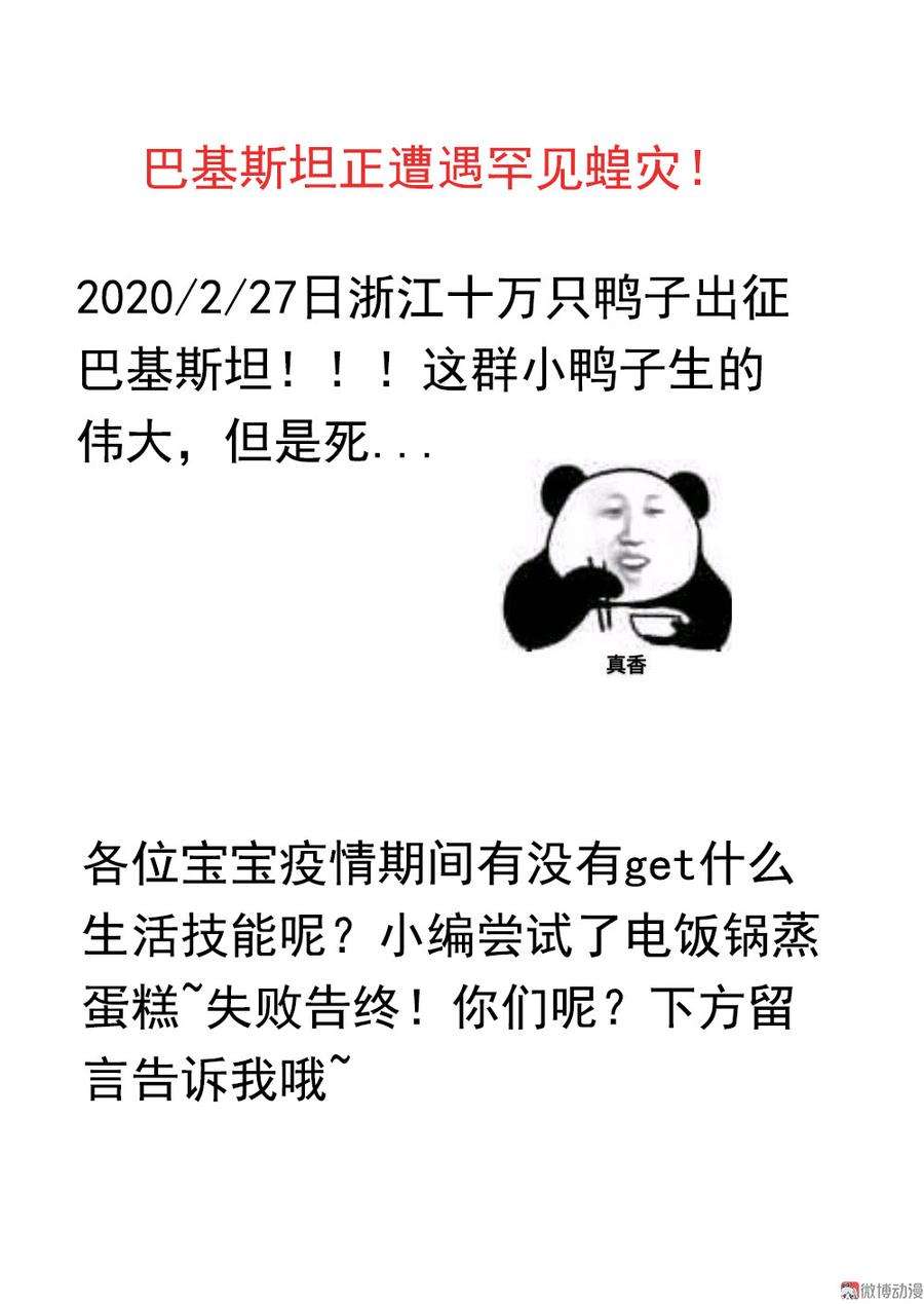 40.jpg