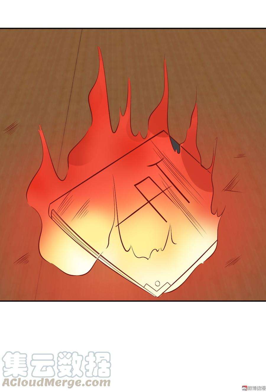 41.jpg