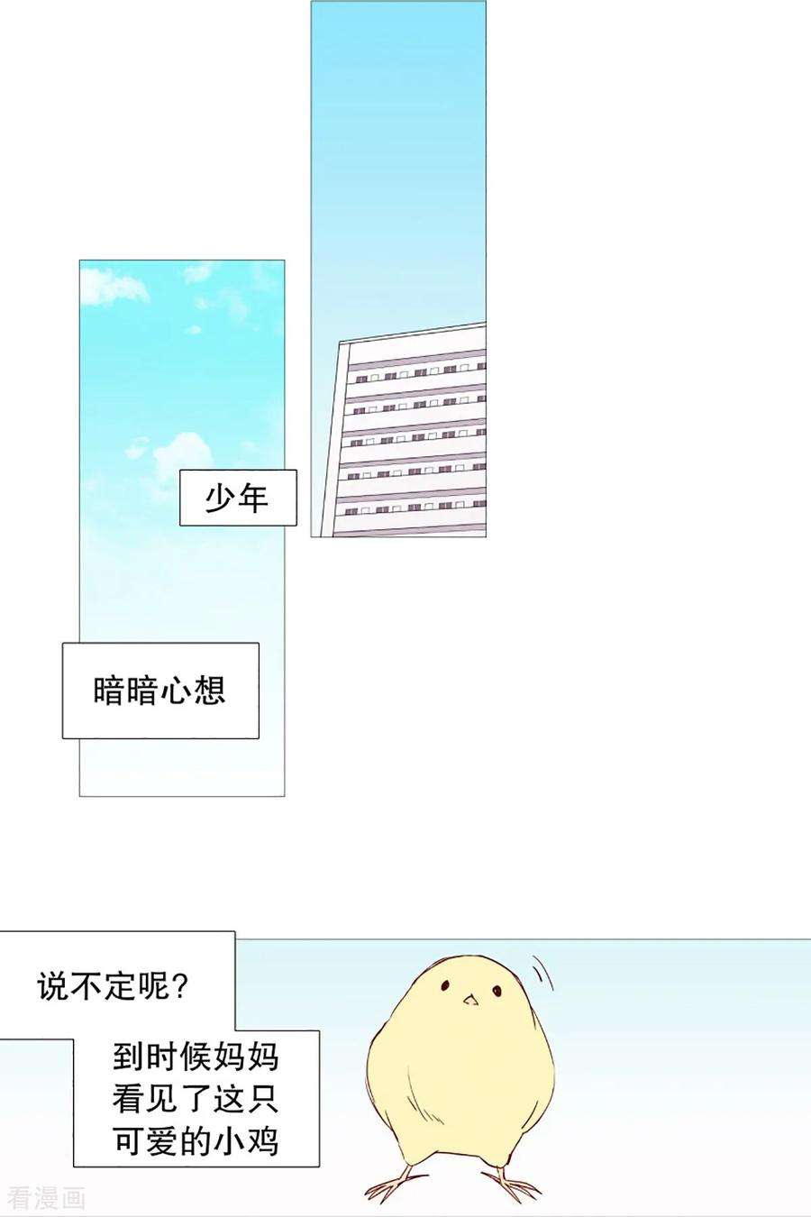 16.jpg