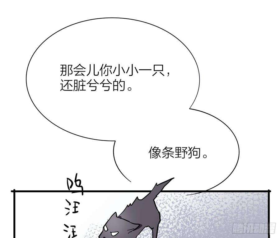 43.jpg