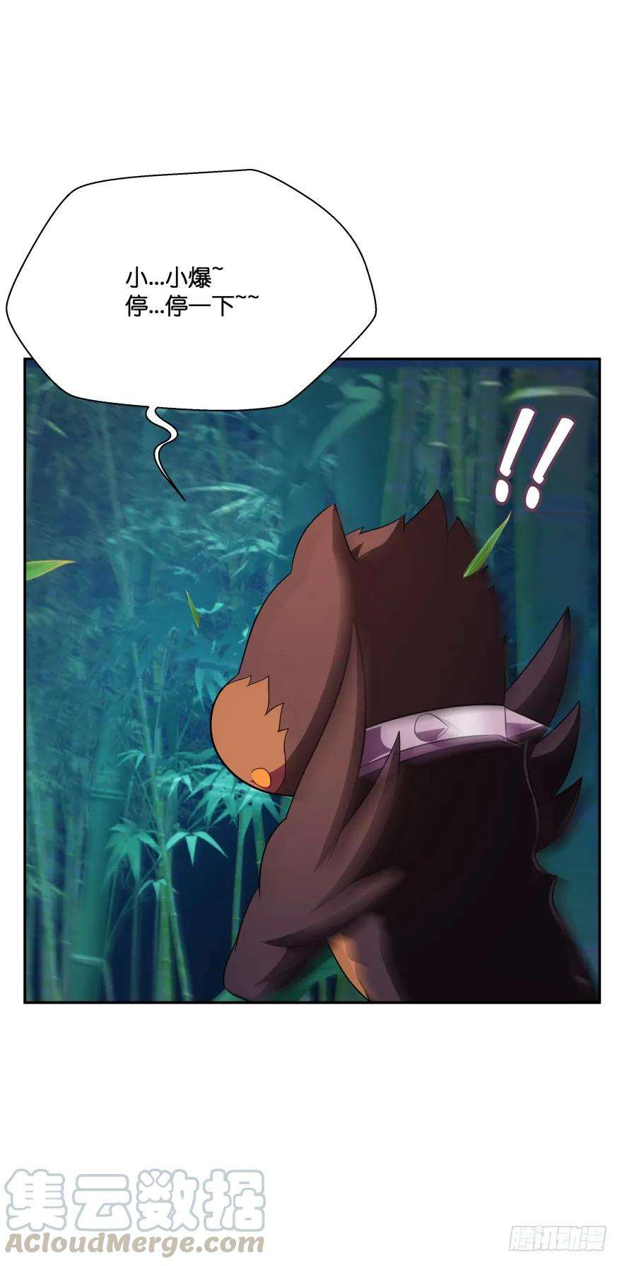 41.jpg