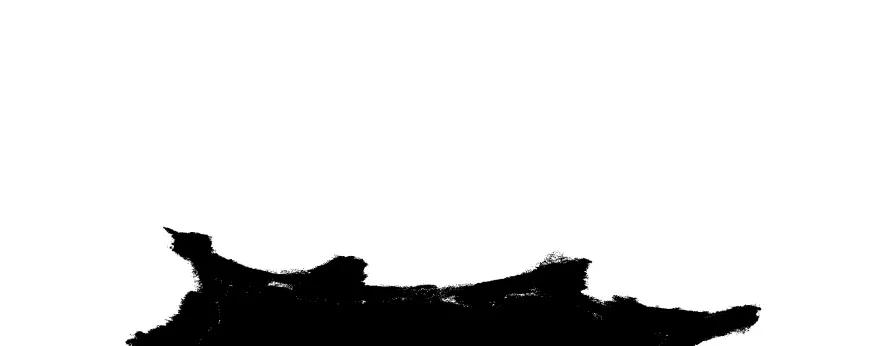 78.jpg