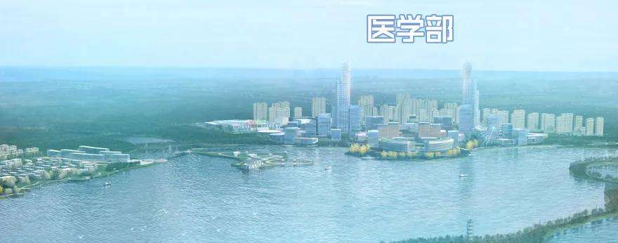 123.jpg
