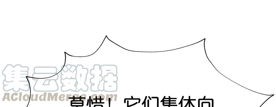 155.jpg