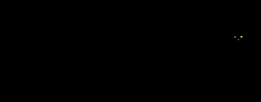 191.jpg