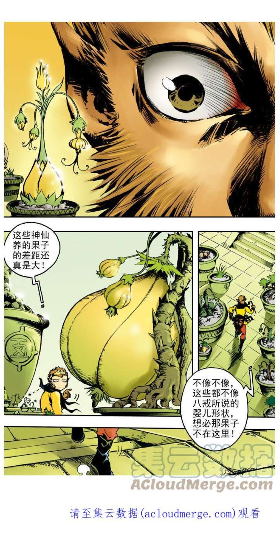 12.jpg
