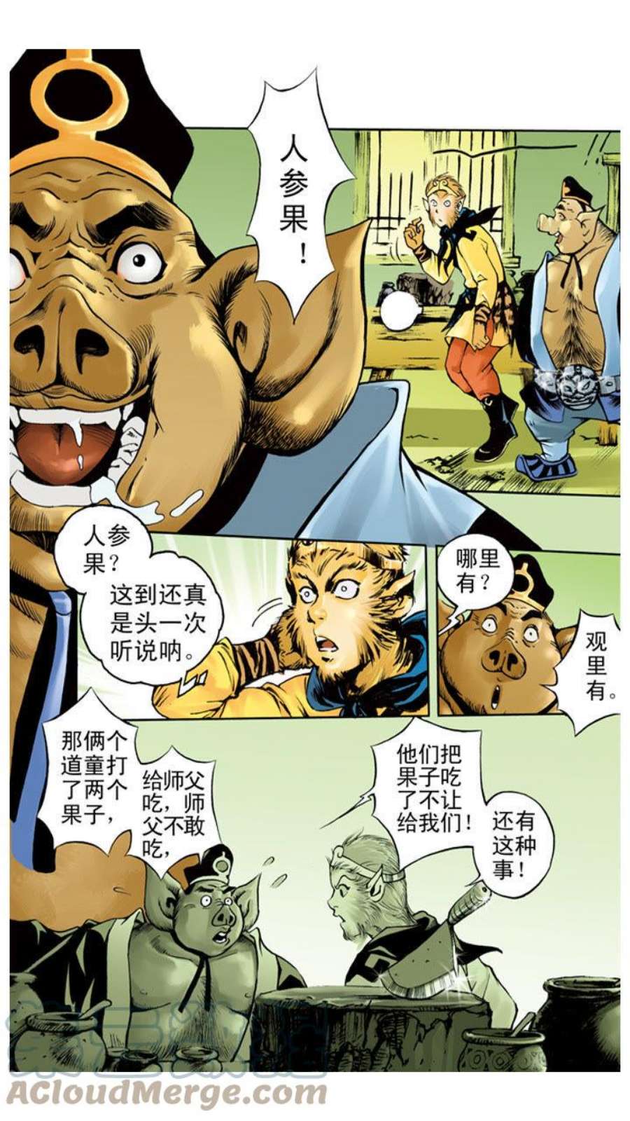 8.jpg