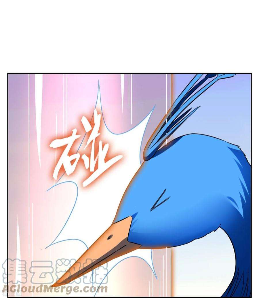 39.jpg