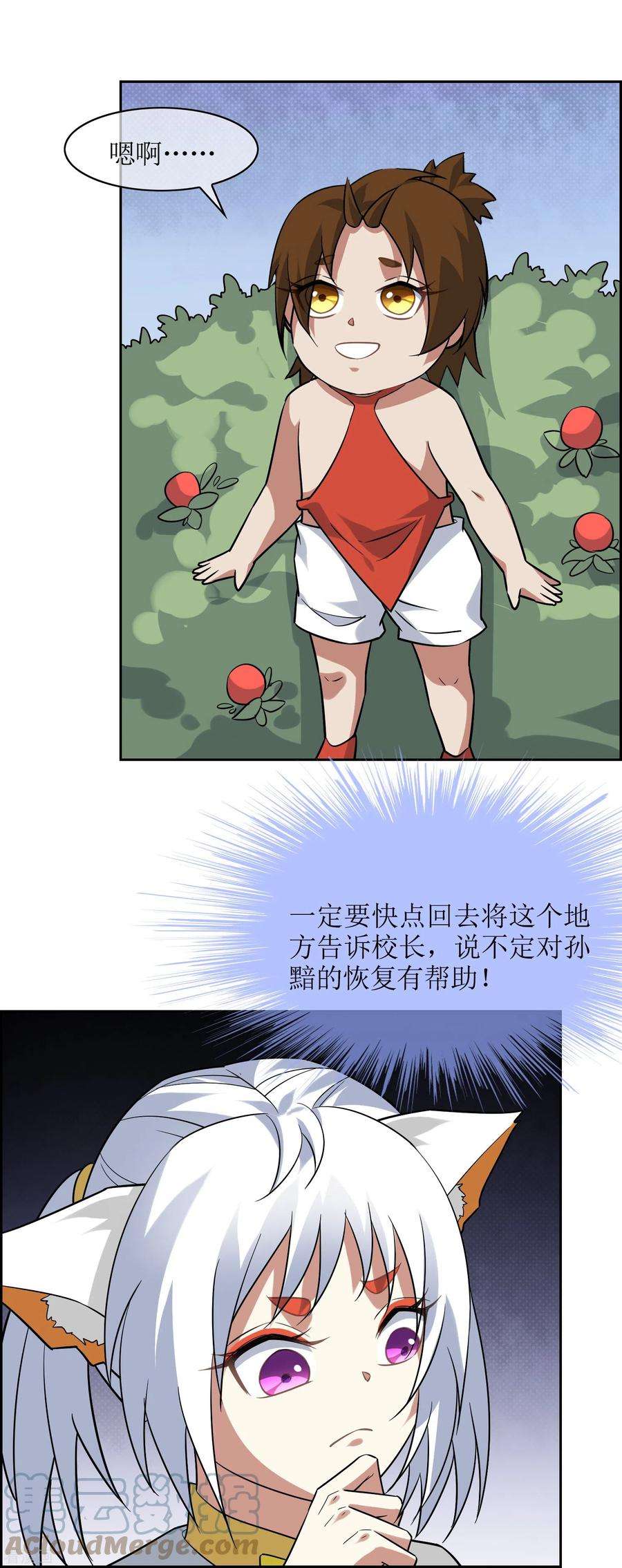 35.jpg