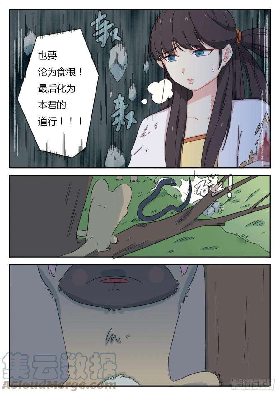 8.jpg