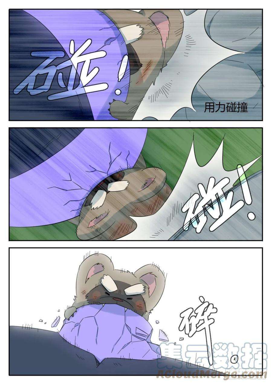 13.jpg