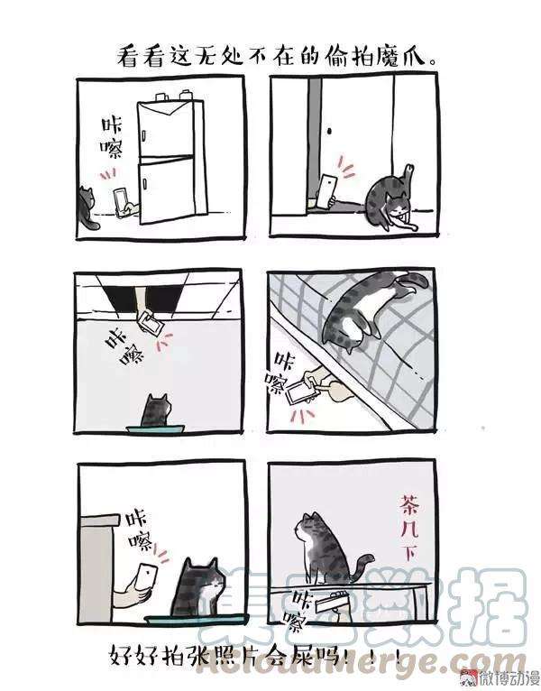19.jpg