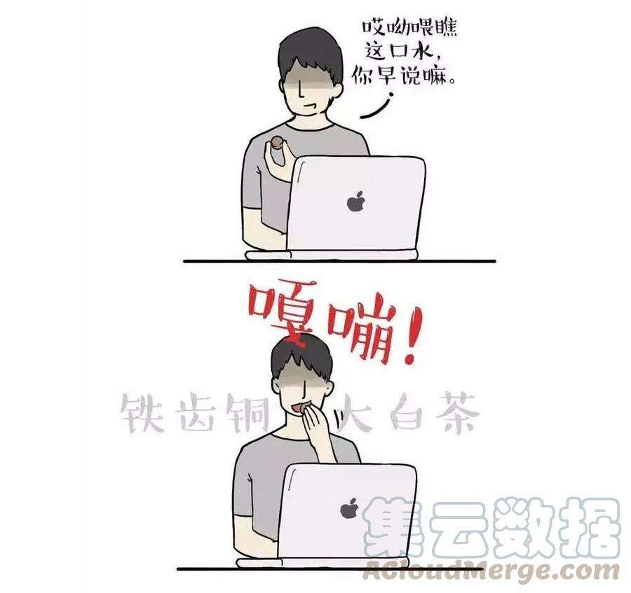 17.jpg
