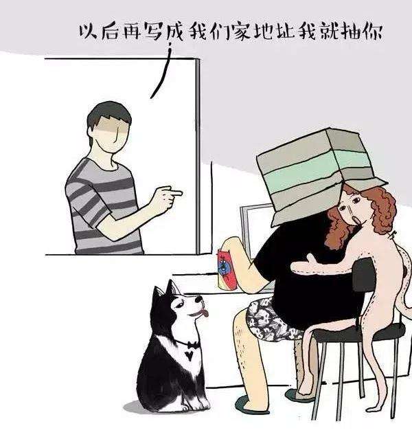 16.jpg