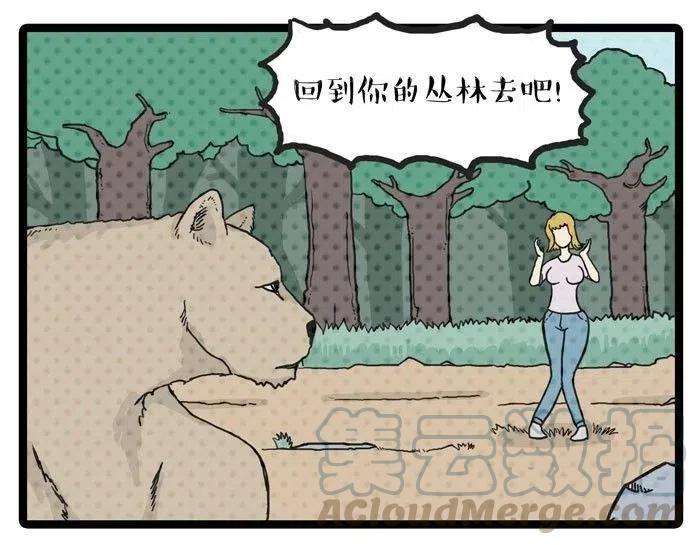 19.jpg