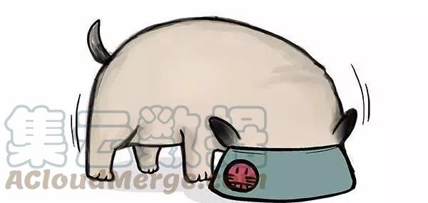 34.jpg