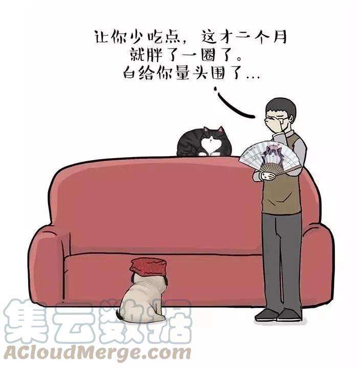 37.jpg
