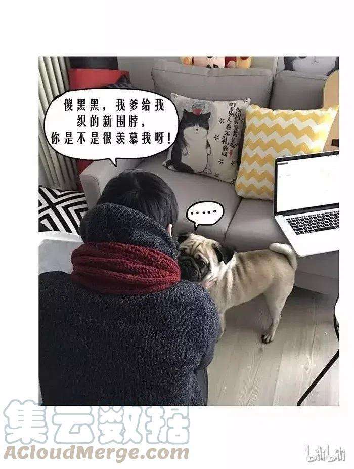 39.jpg