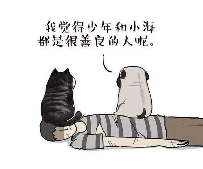 41.jpg