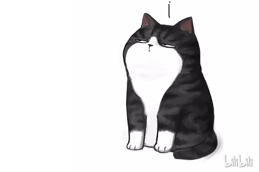 53.jpg