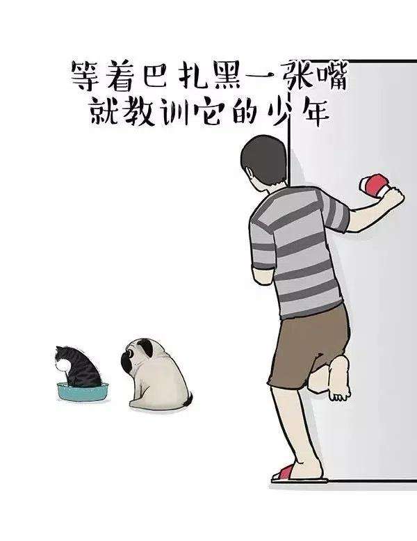 29.jpg