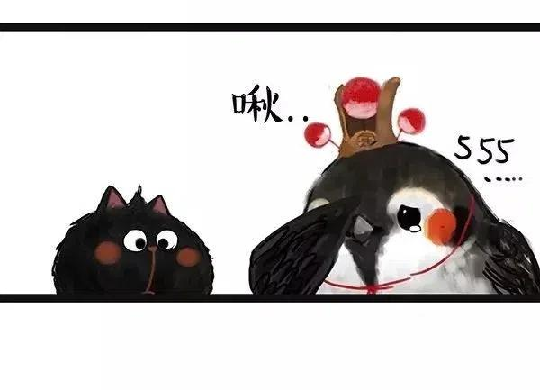 42.jpg