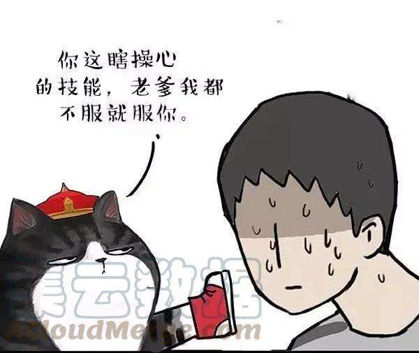 29.jpg