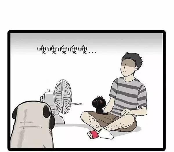 44.jpg