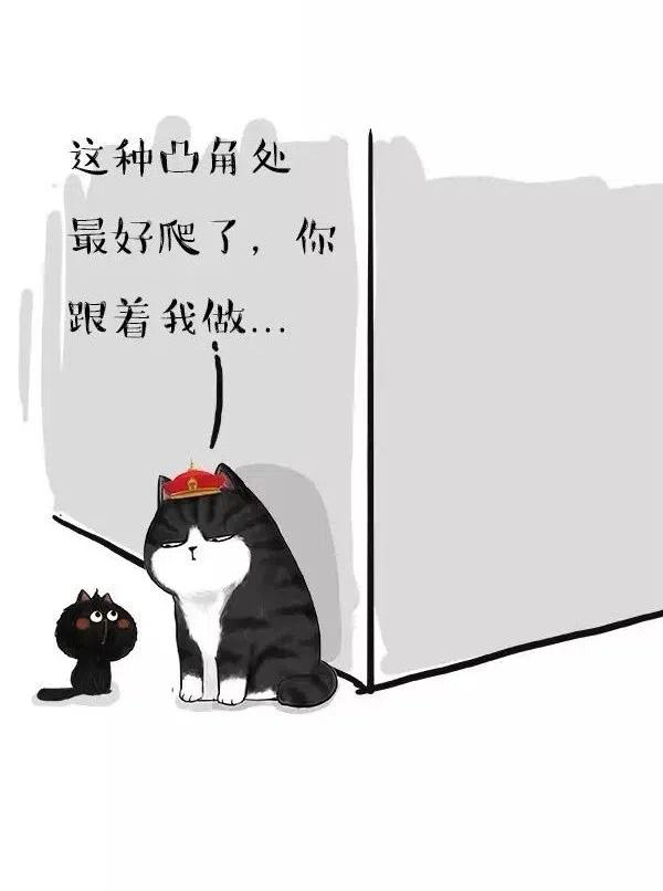 35.jpg