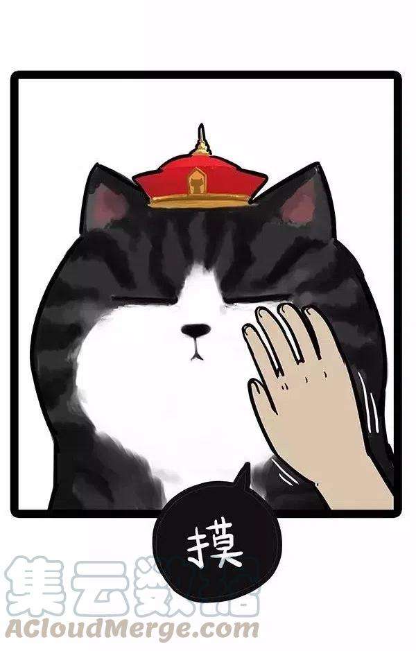 17.jpg
