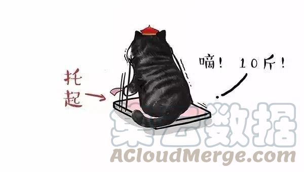25.jpg