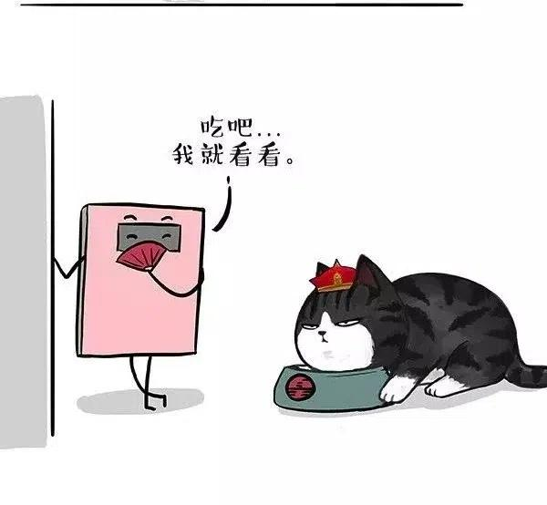41.jpg