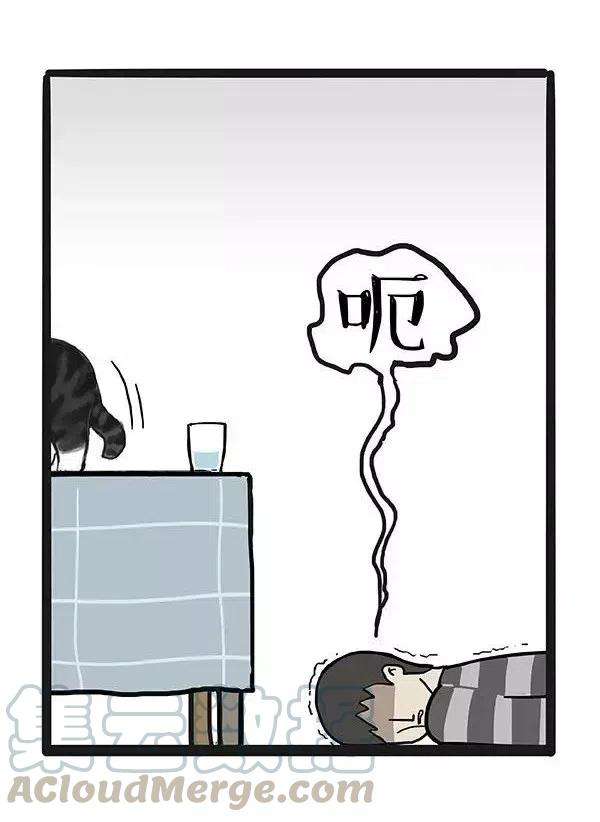 55.jpg