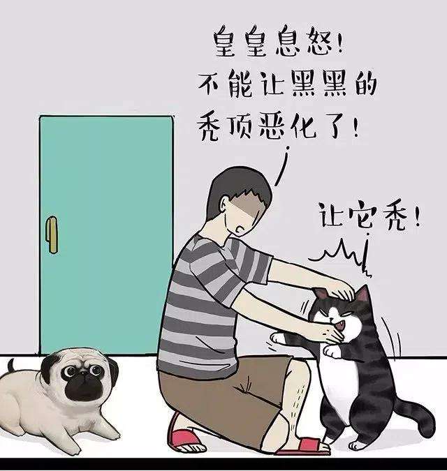 48.jpg