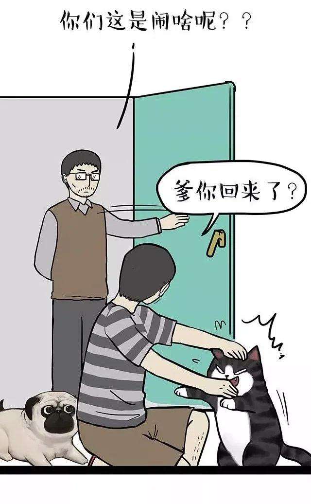 50.jpg