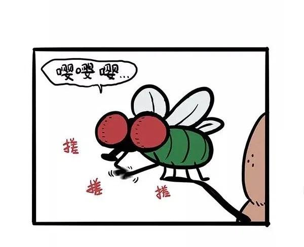 48.jpg