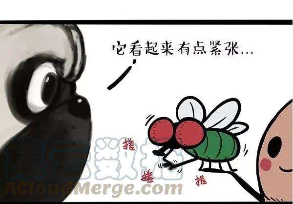 49.jpg